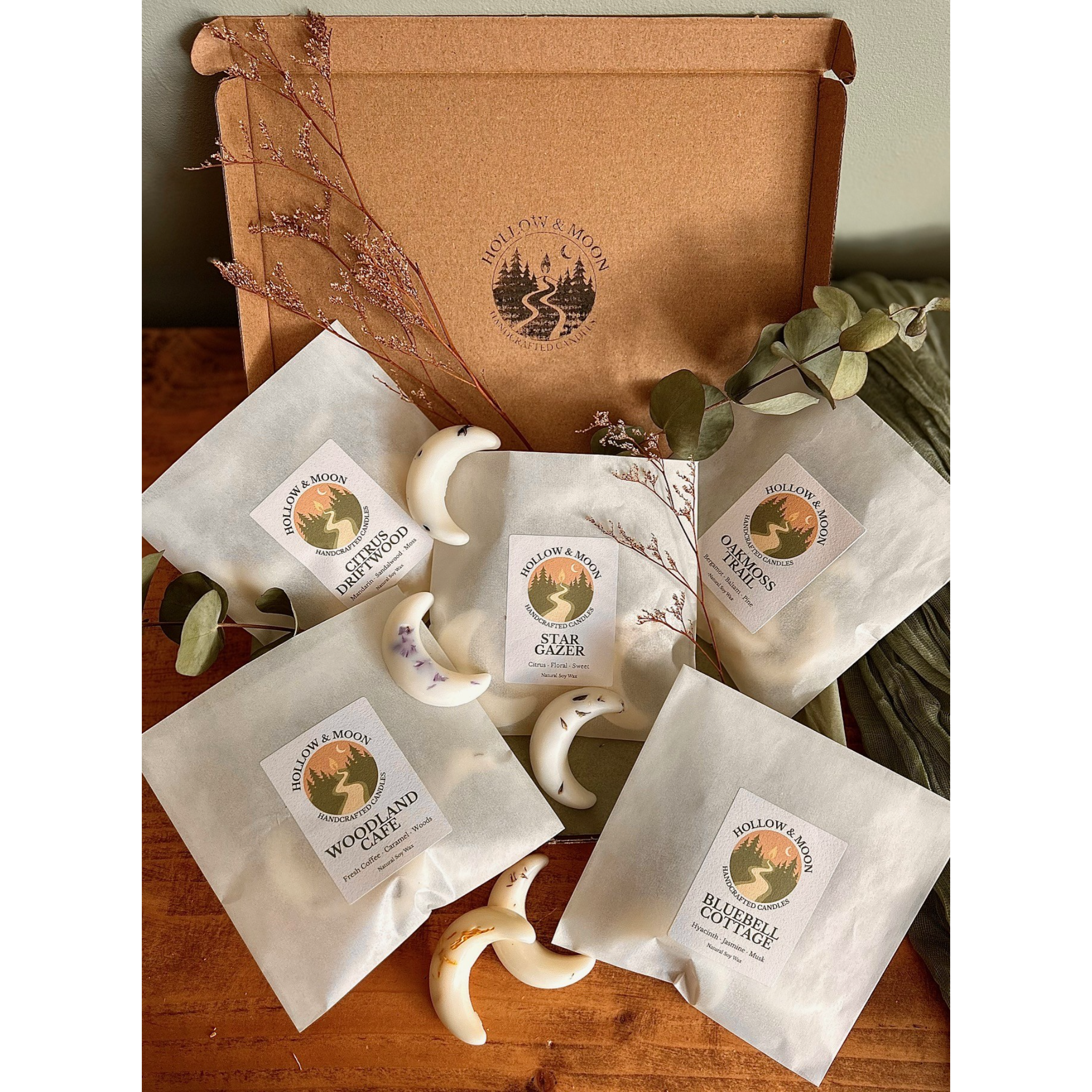 Wax Moon Melt Discovery Bundle