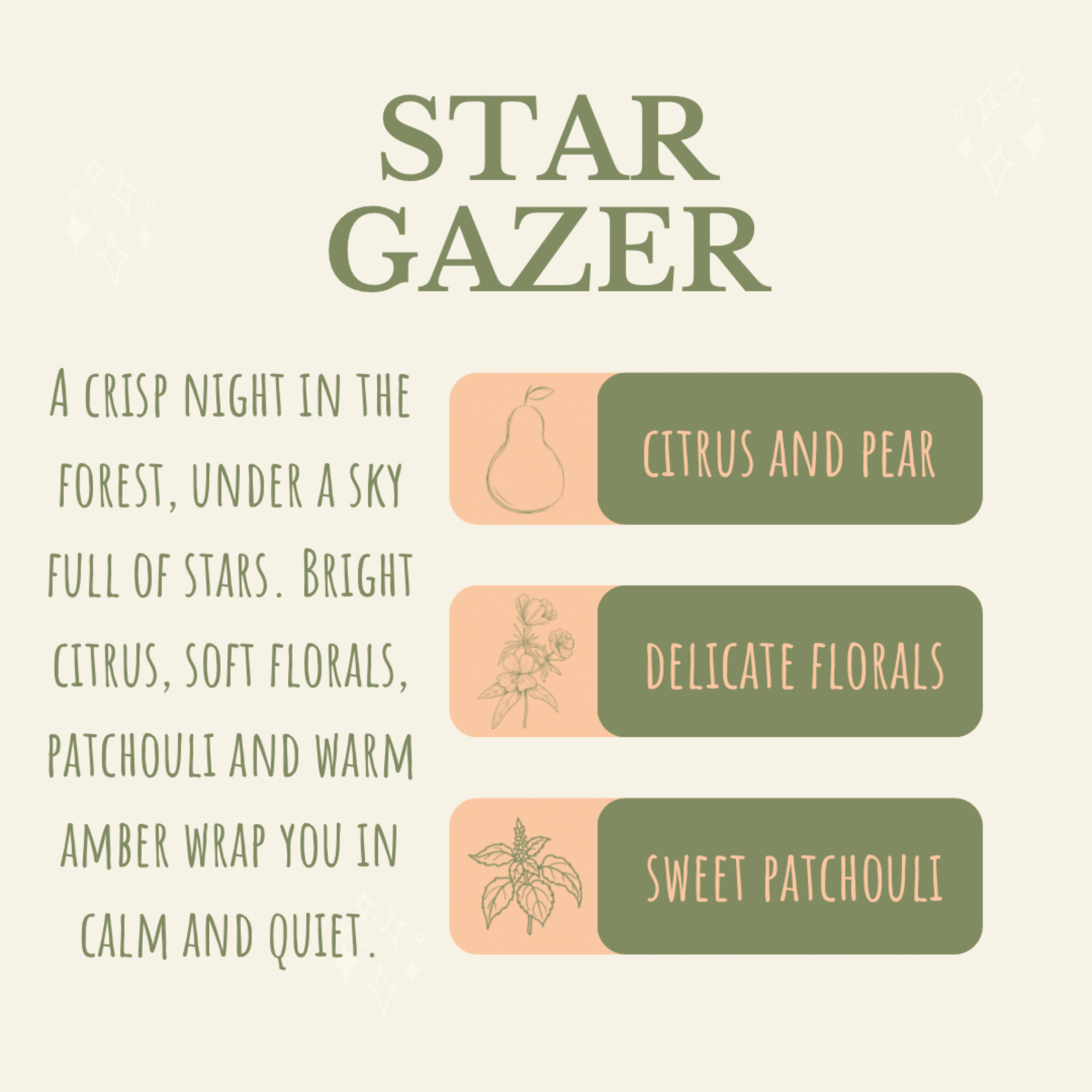 Star Gazer - Wax Moon Melts