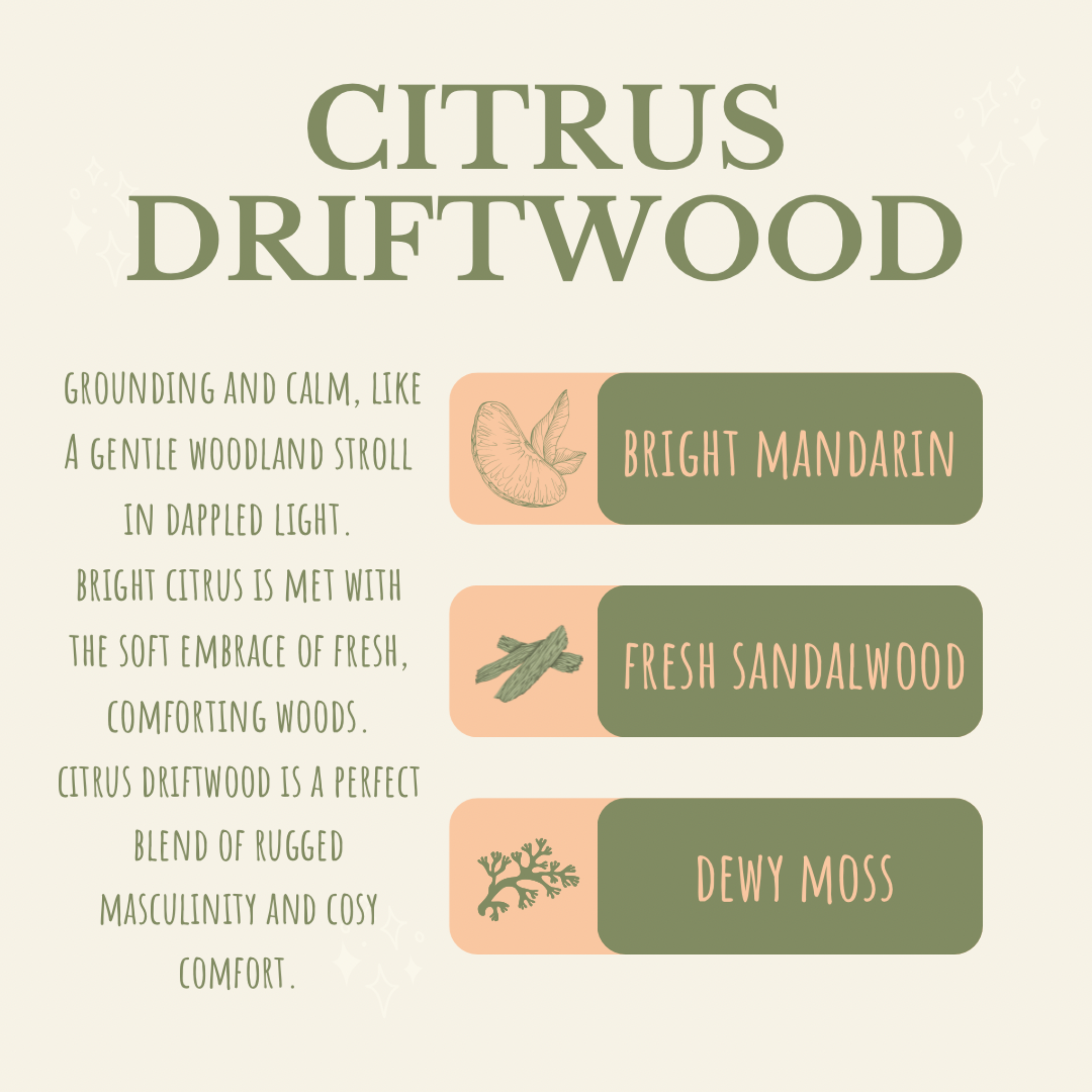 Citrus Driftwood - Wax Moon Melts