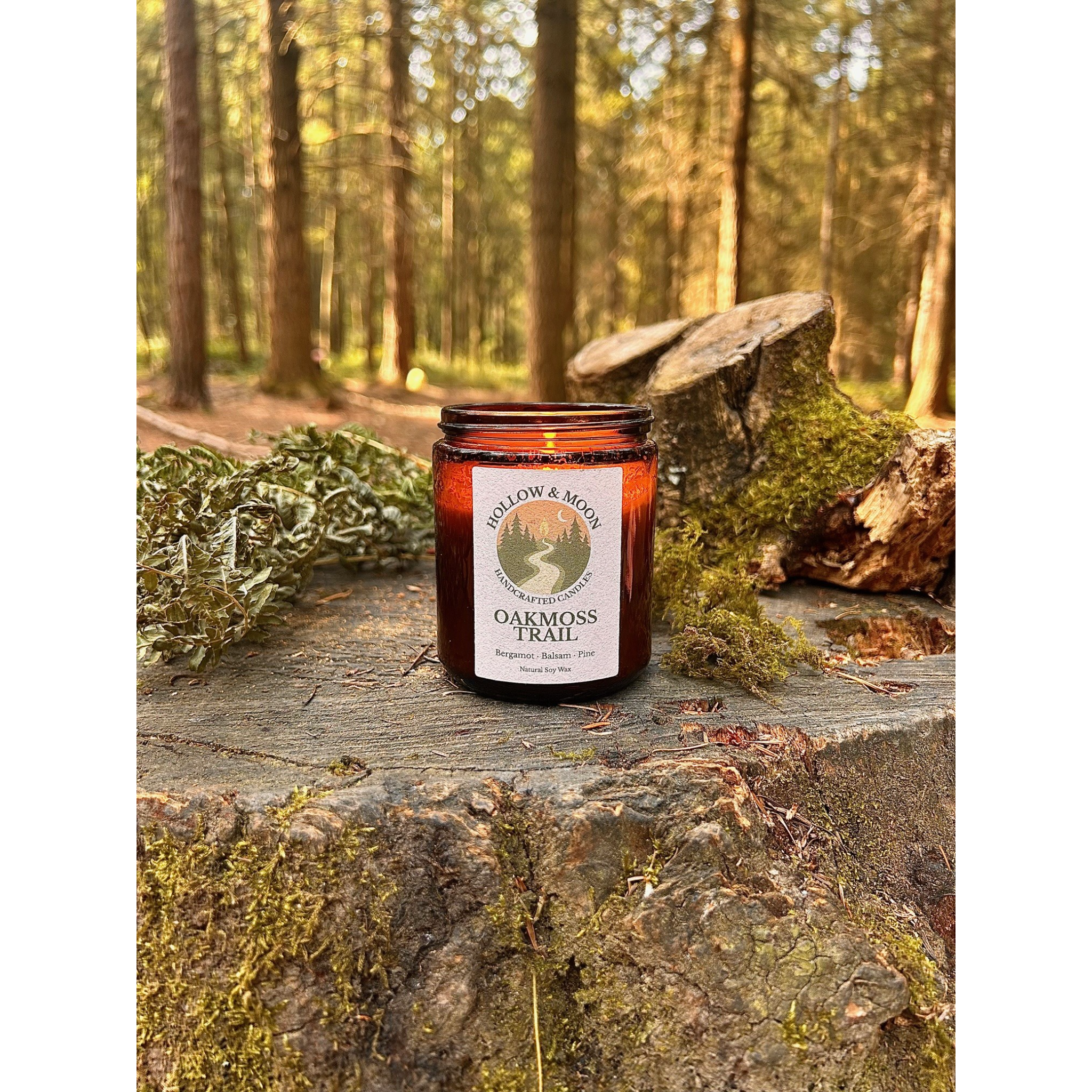 Oakmoss Trail - Single Wick Jar