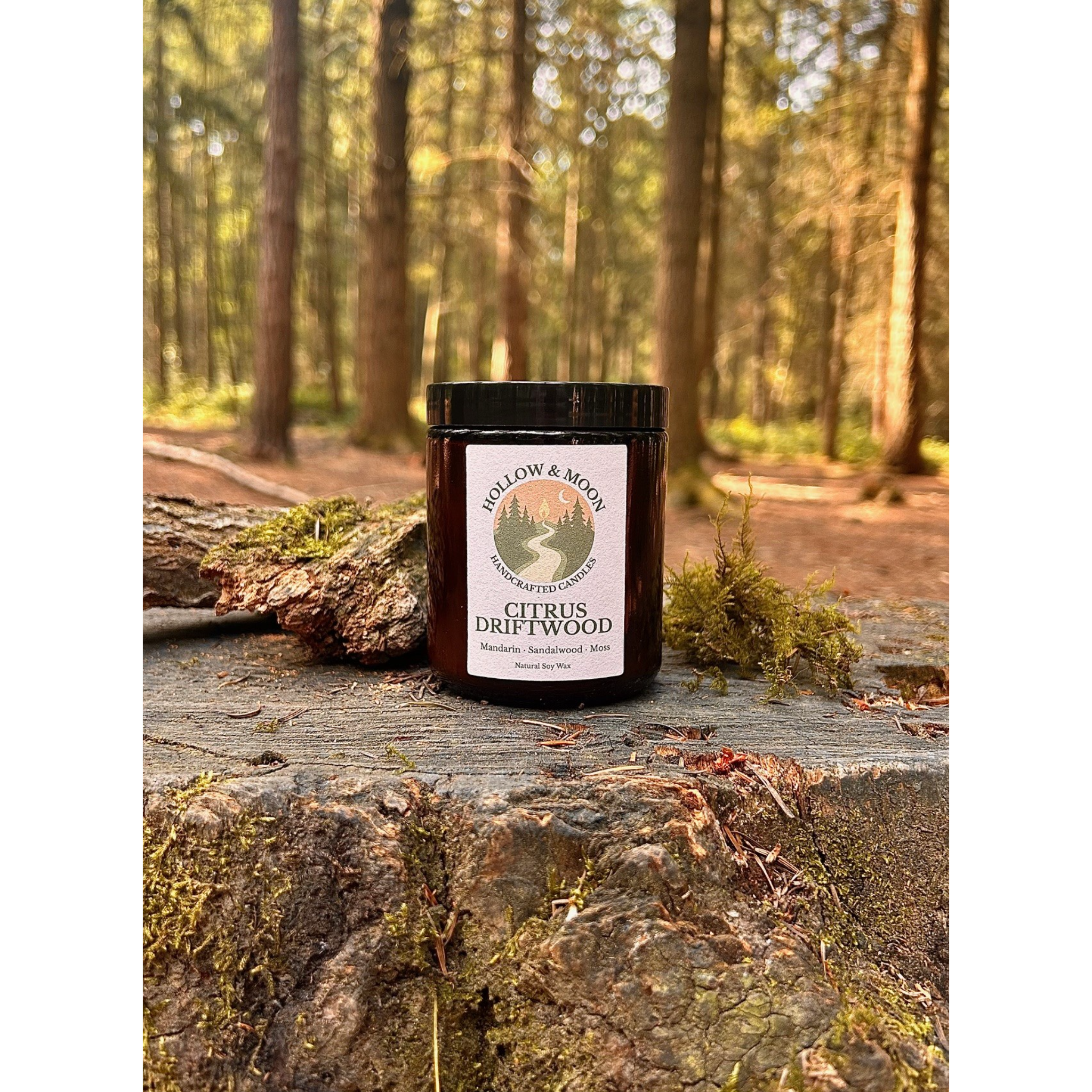 Citrus Driftwood - Single Wick Jar