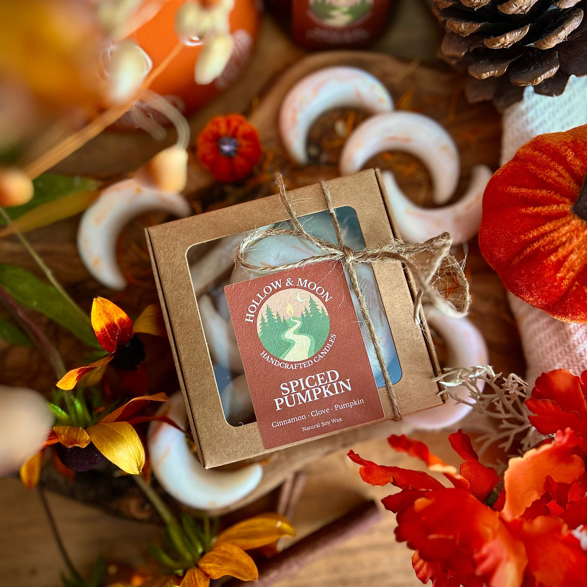 Spiced Pumpkin - Wax Moon Melts