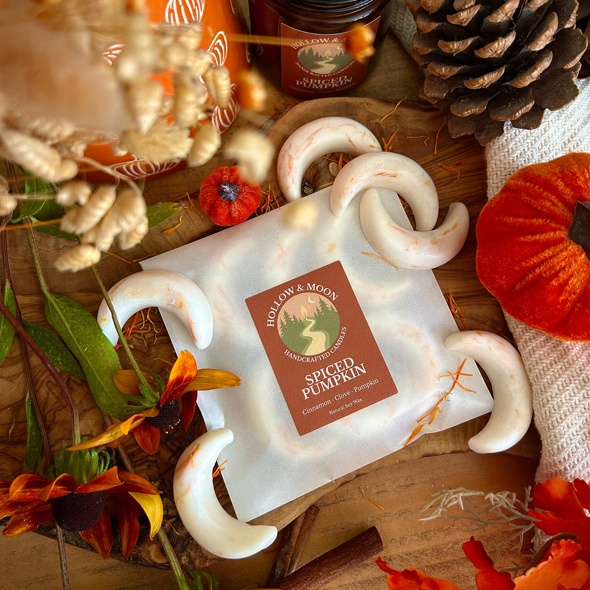 Spiced Pumpkin - Wax Moon Melts