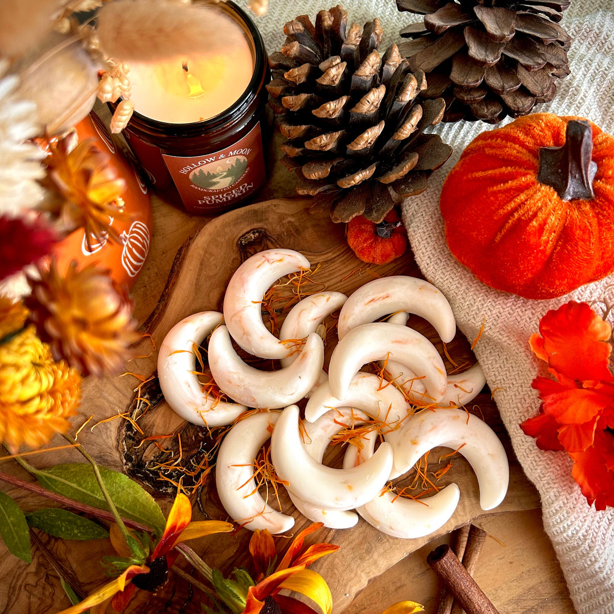Spiced Pumpkin - Wax Moon Melts
