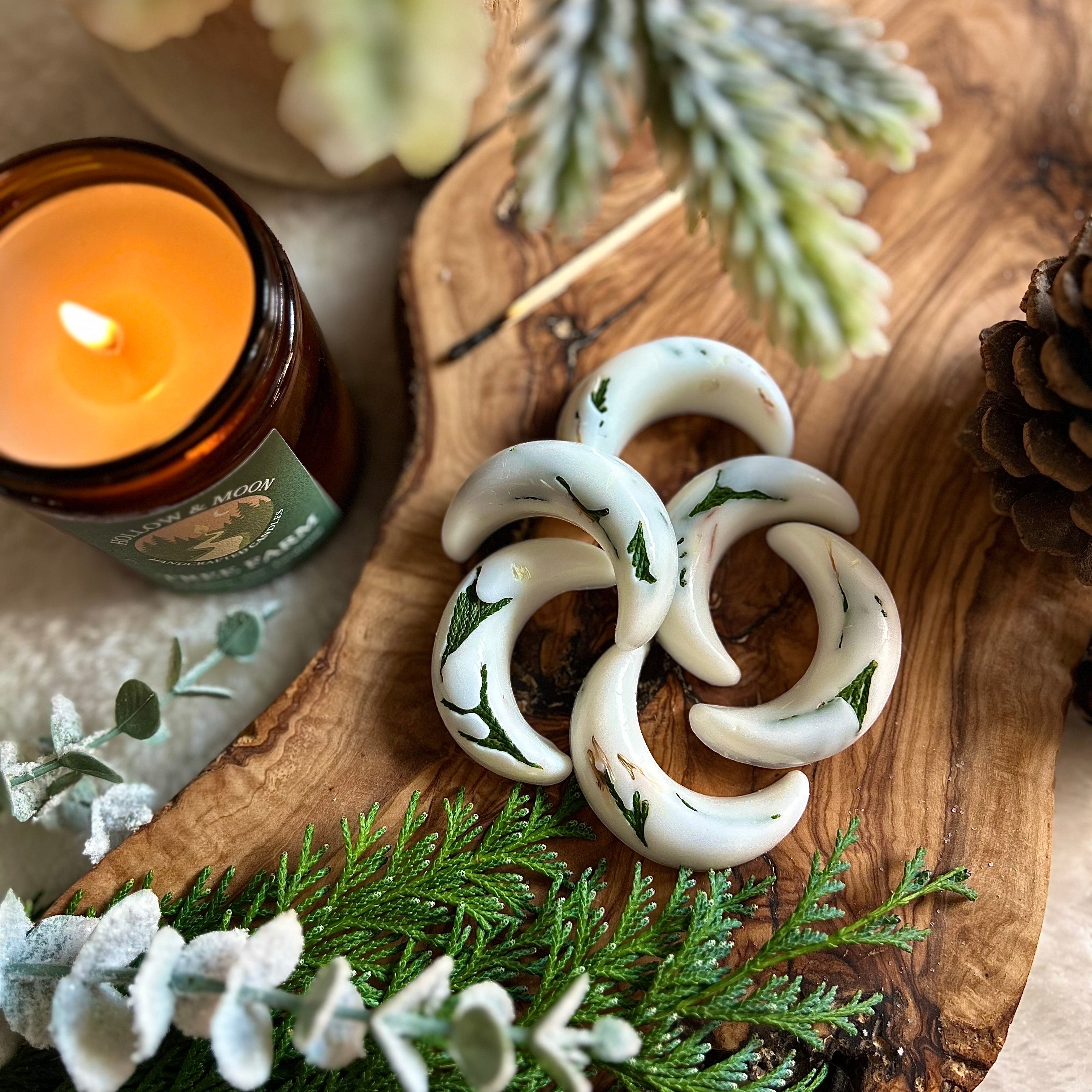 Tree Farm - Wax Moon Melts