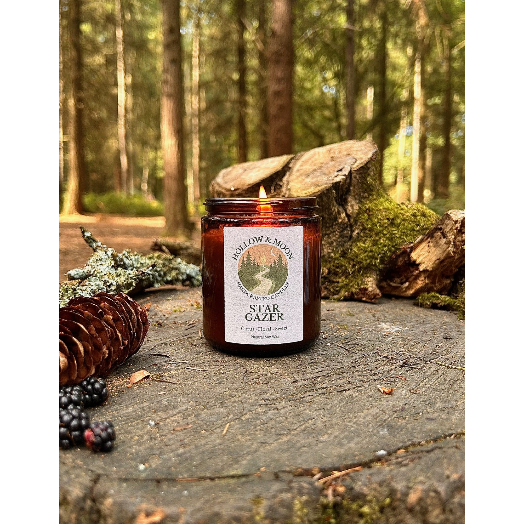 Star Gazer - Single Wick Jar