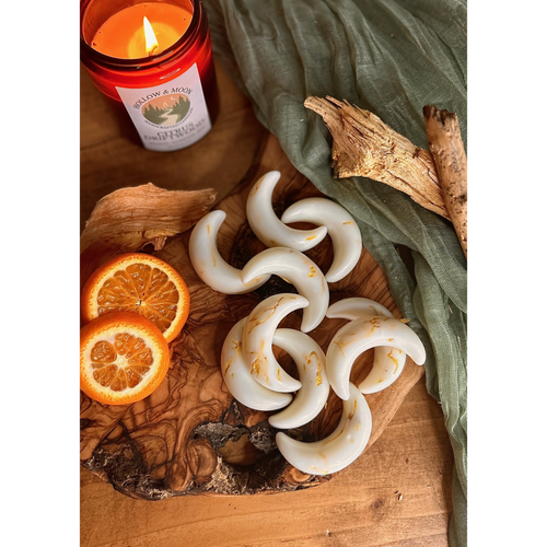 Citrus Driftwood - Wax Moon Melts